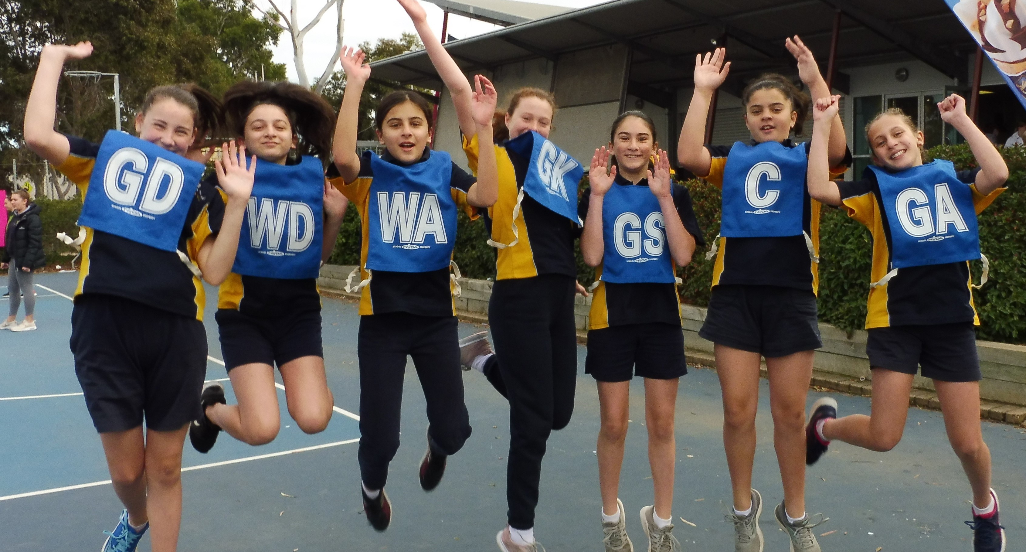 Sports Banner Netball