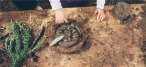 Nature Play Article T2 Wk 8 2019.png